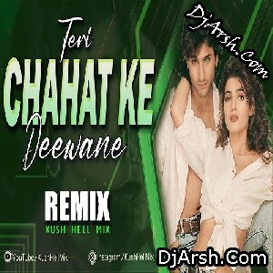 Teri Chahat Ke Diwane Hue Hum - Remix Kush Hell