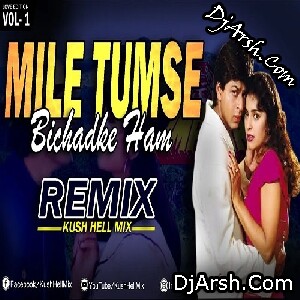 Mile Tumse Bichhad Ke Ham - Remix Kush Hell